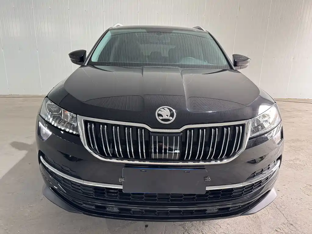 Skoda Karoq — фото 3
