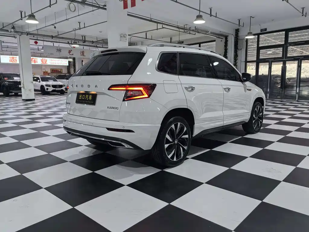 Skoda Karoq — фото 6