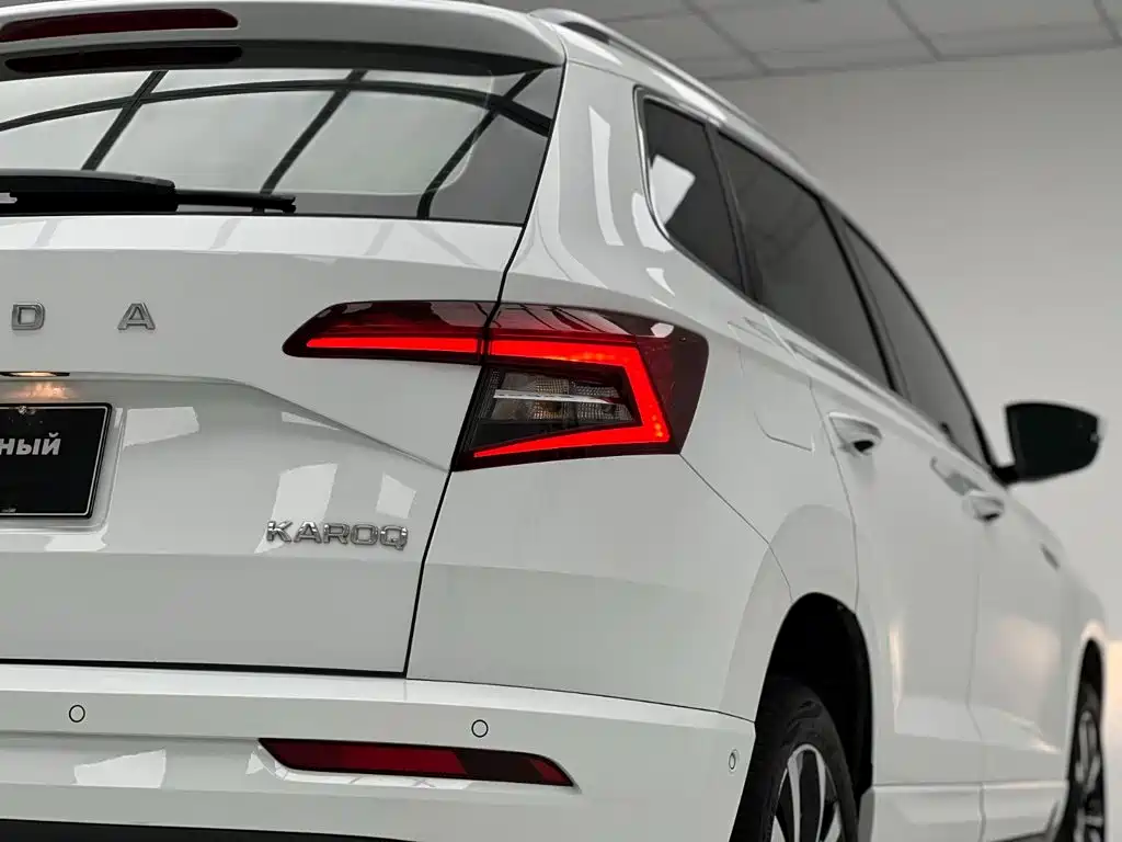 Skoda Karoq — фото 13
