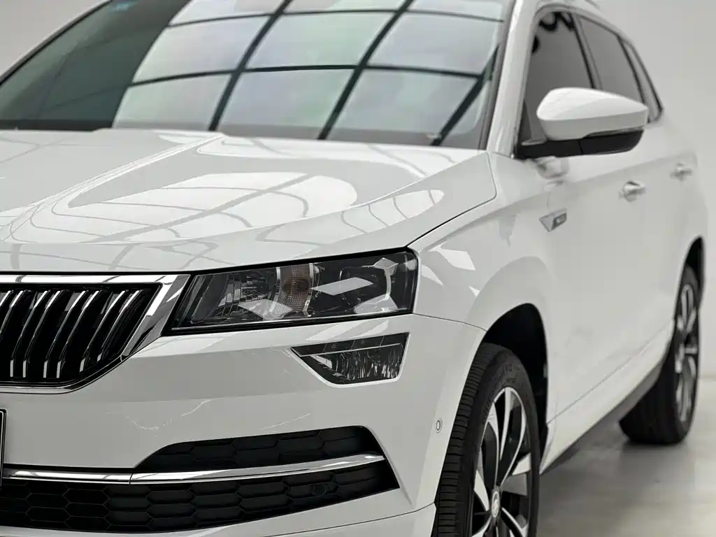 Skoda Karoq — фото 4