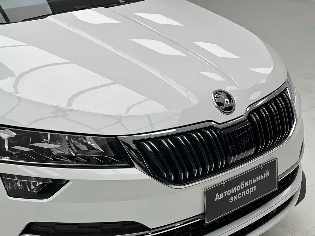 Skoda Karoq — фото 5