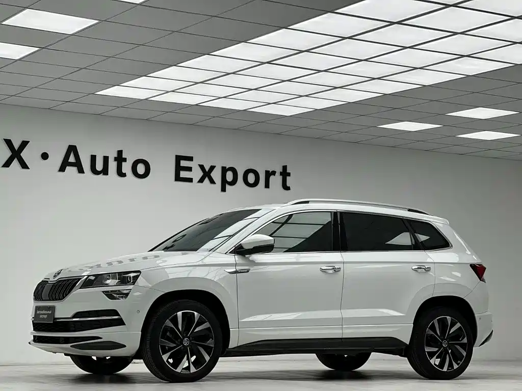 Skoda Karoq — фото 8
