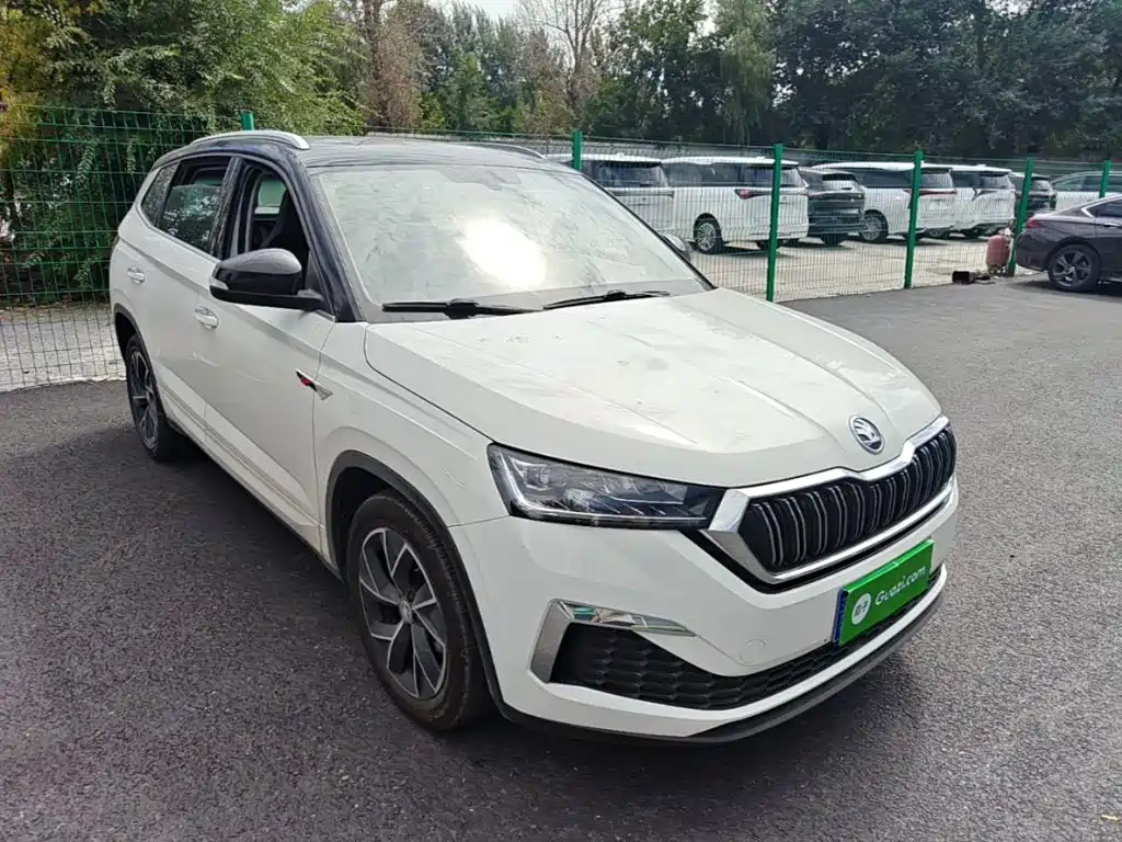 Skoda Kamiq — фото 4