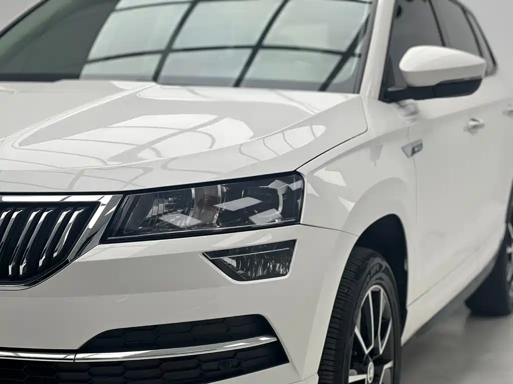 Skoda Karoq — фото 4
