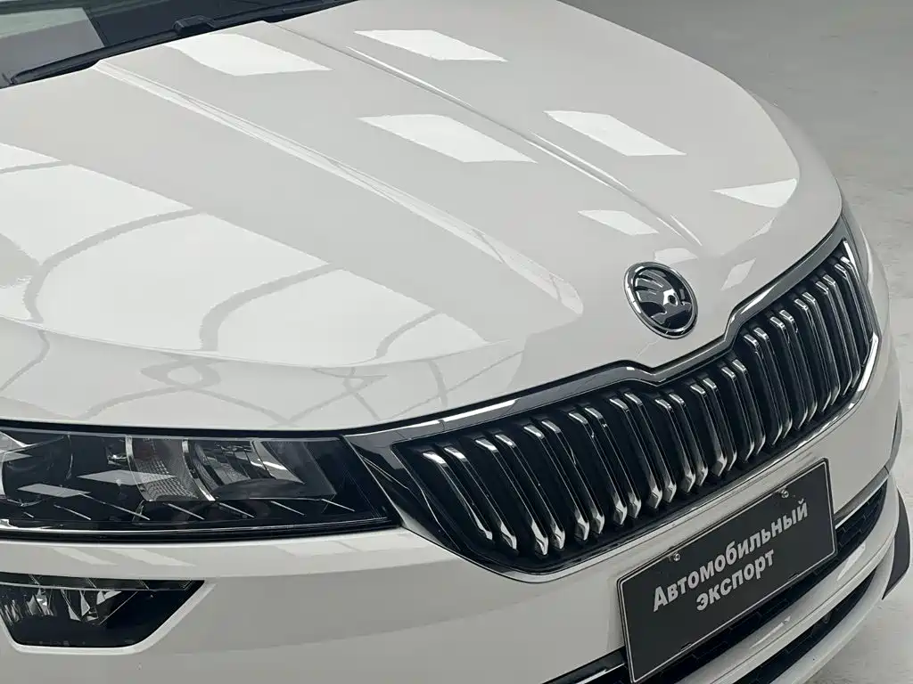 Skoda Karoq — фото 5