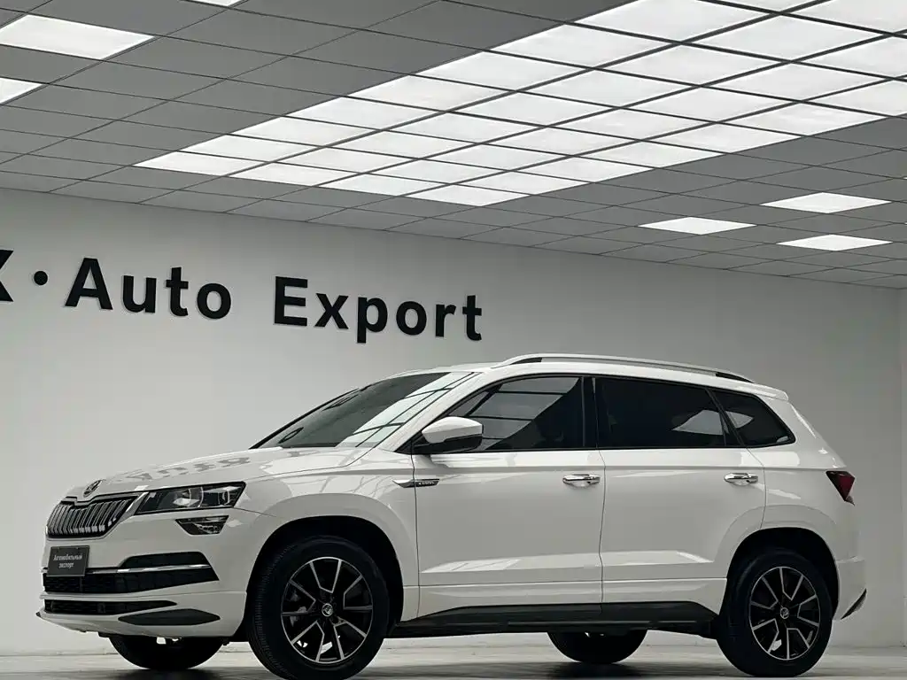 Skoda Karoq — фото 6