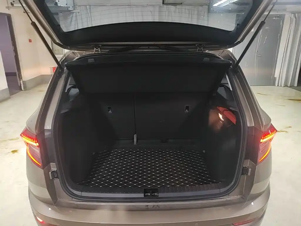 Skoda Karoq — фото 19