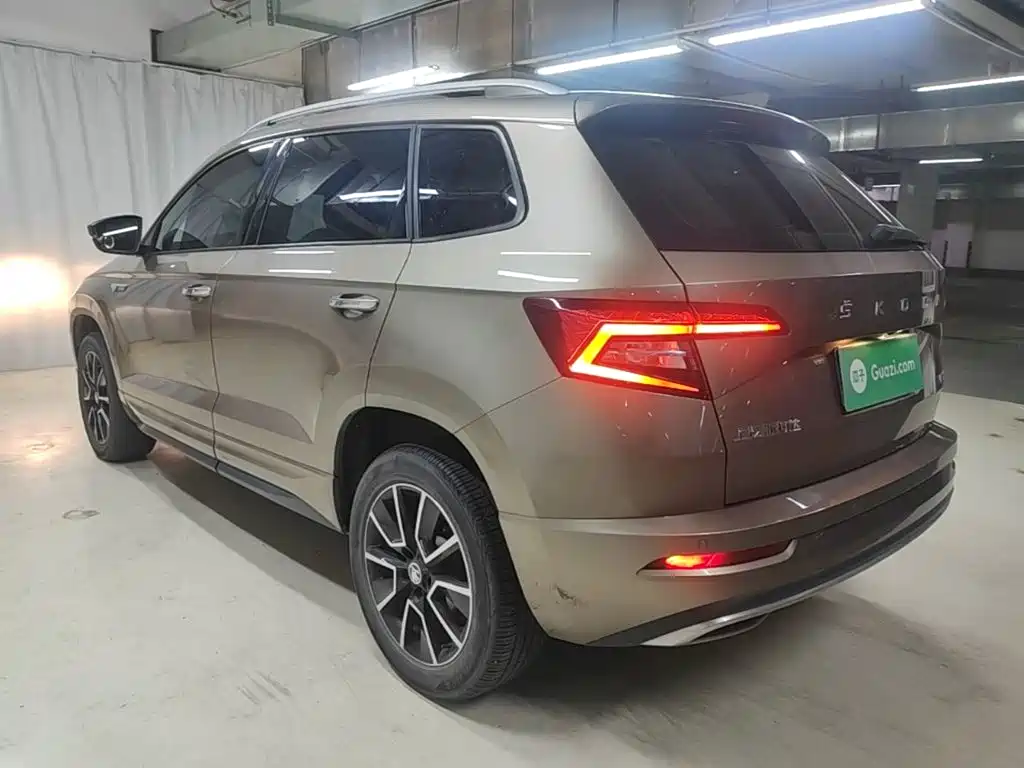 Skoda Karoq — фото 5
