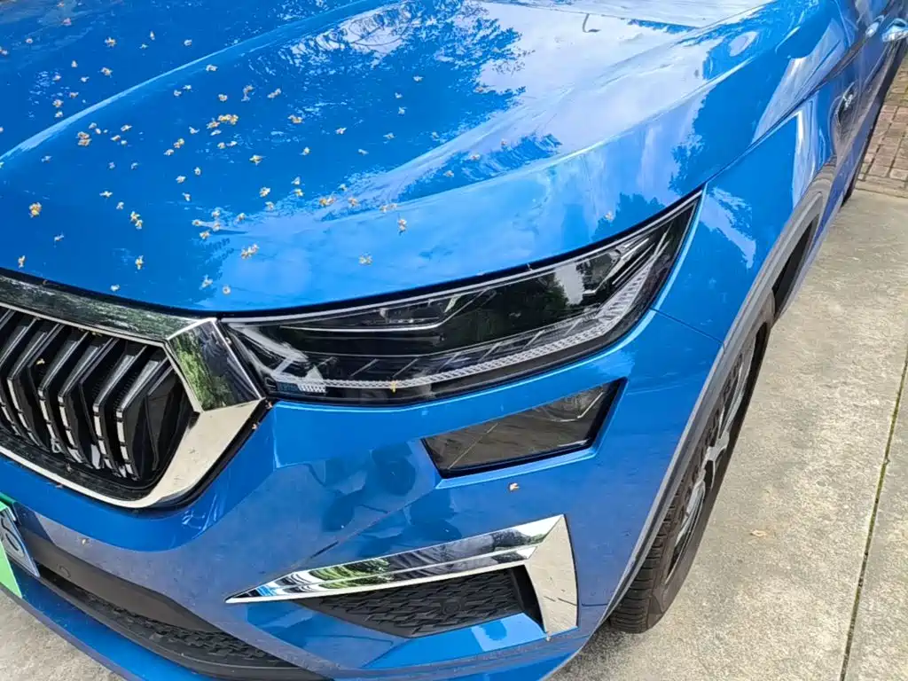 Skoda Kodiaq — фото 24