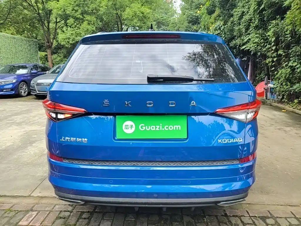 Skoda Kodiaq — фото 6