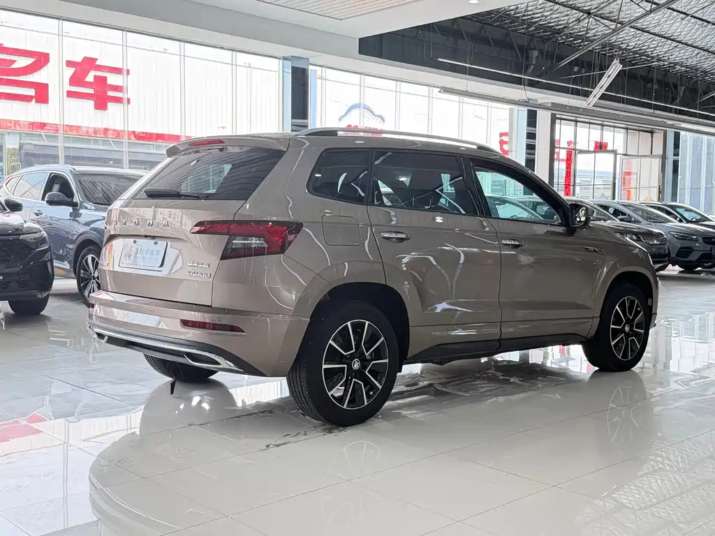 Skoda Karoq — фото 11