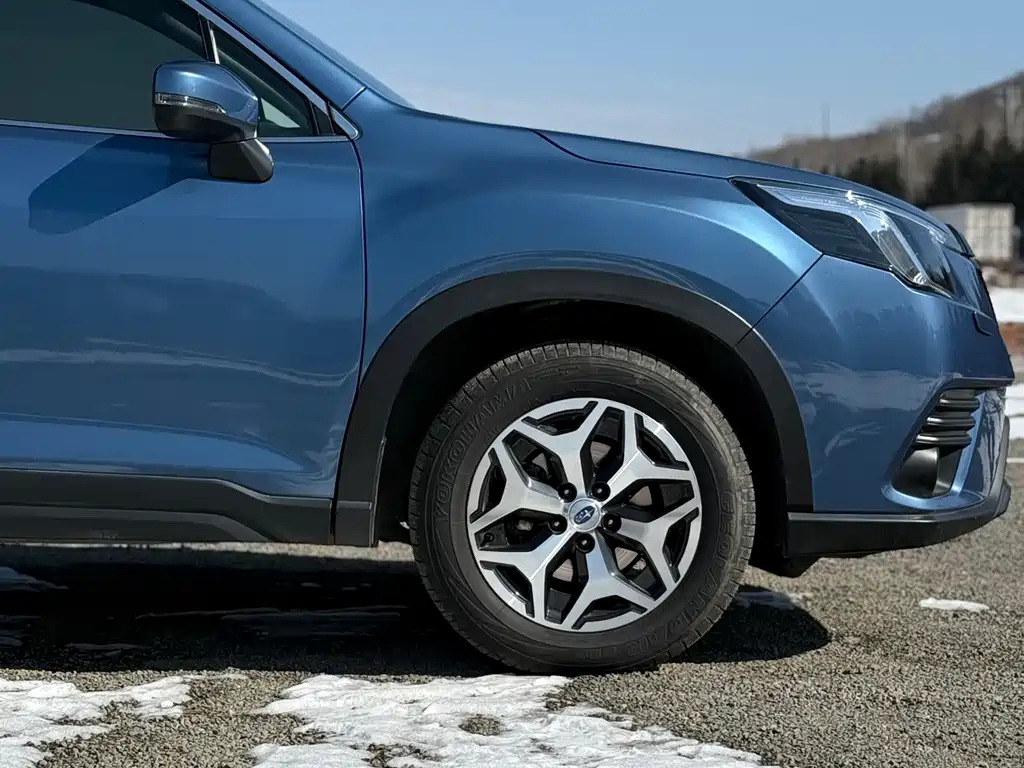 Subaru Forester — фото 29