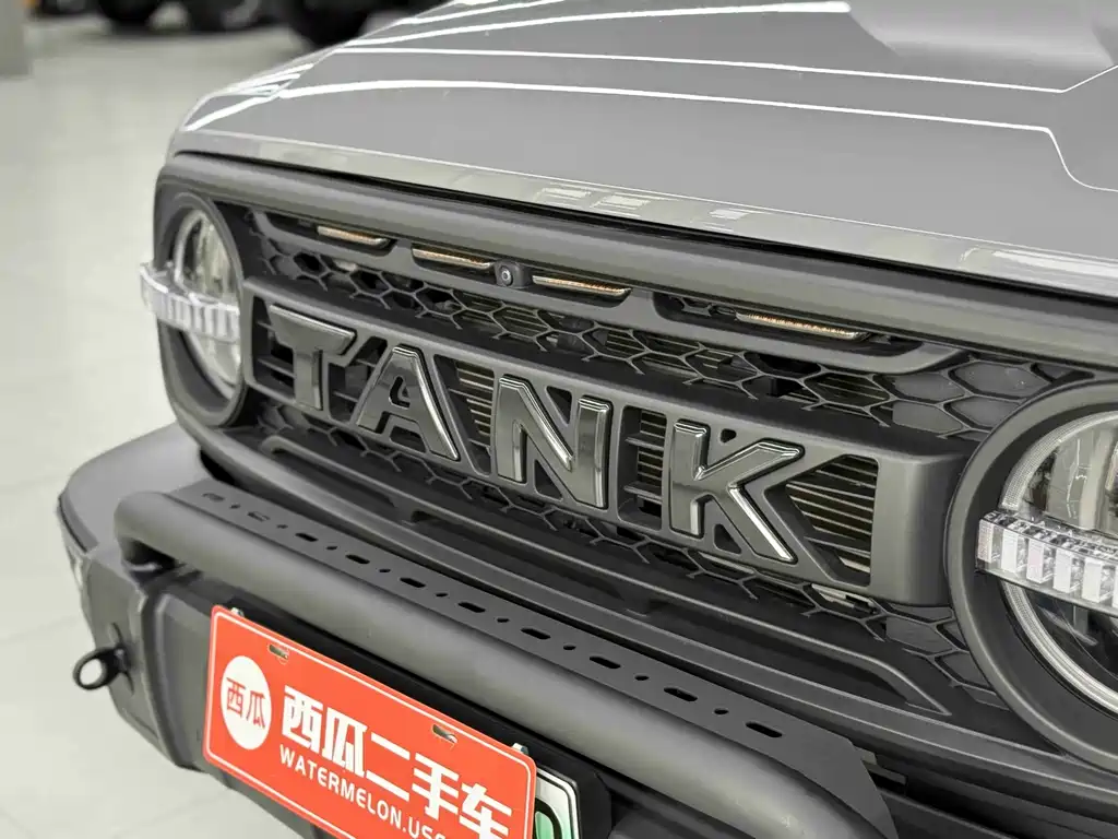 Tank Tank 300 New Energy — фото 3