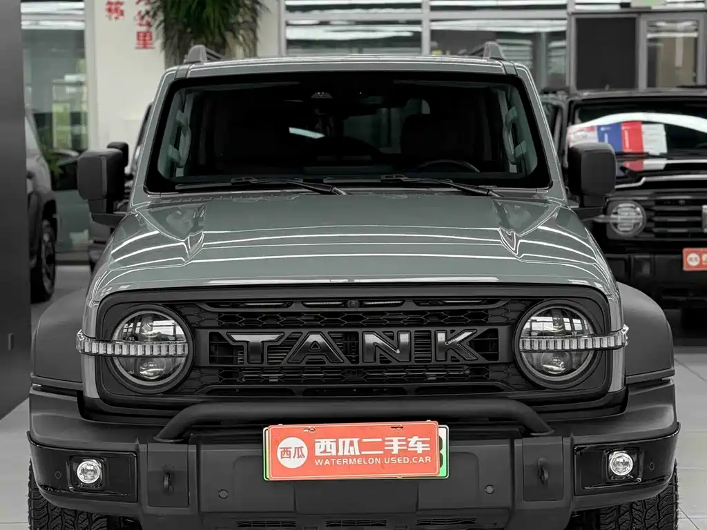 Tank Tank 300 New Energy — фото 4
