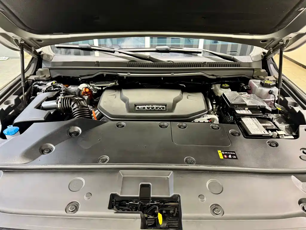 Tank Tank 500 New Energy — фото 11