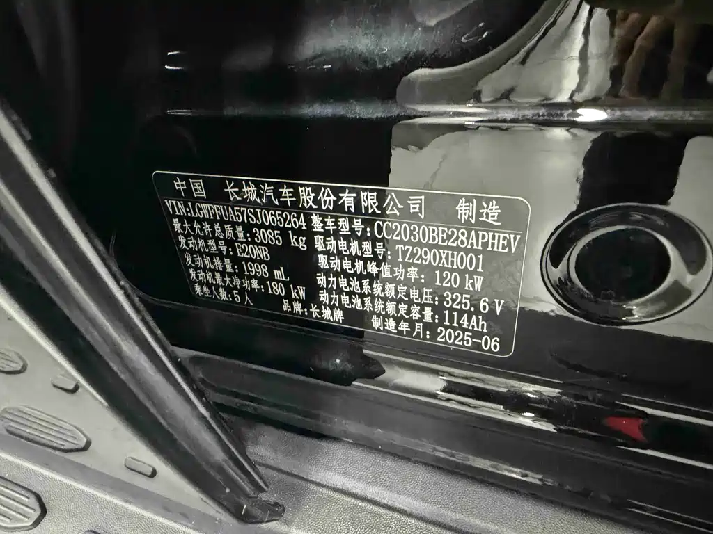 Tank Tank 300 New Energy — фото 6