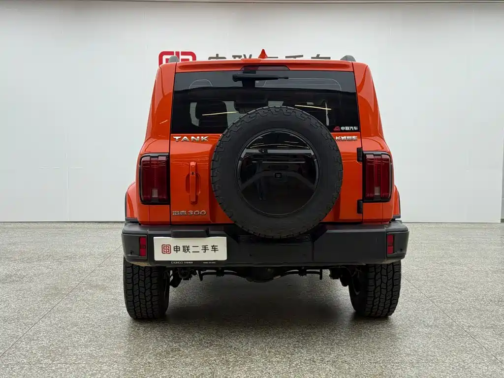 Tank Tank 300 — фото 4