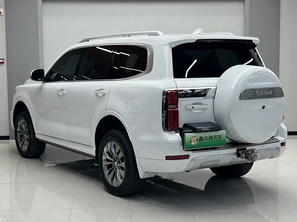 Tank Tank 500 New Energy — фото 19