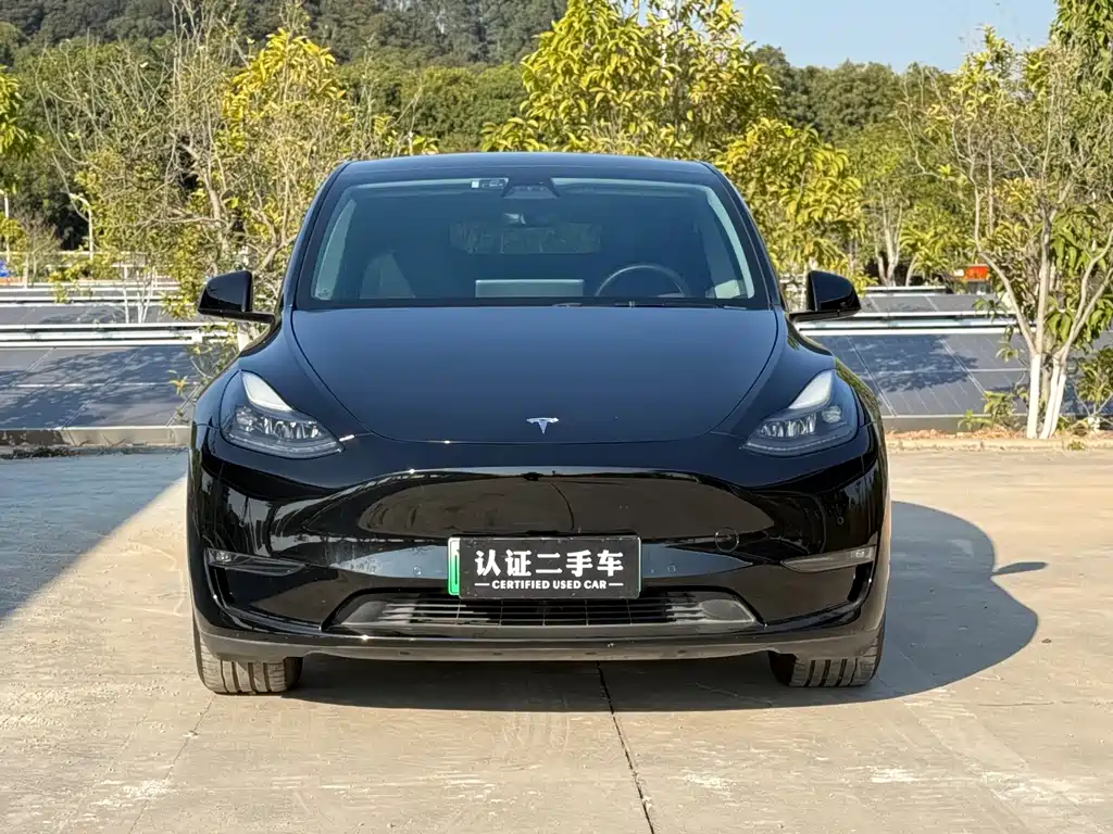 Tesla Model Y — фото 2