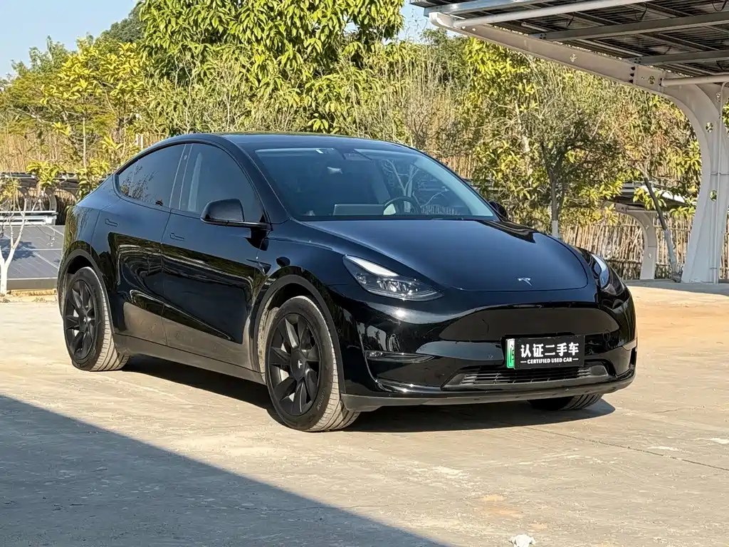Tesla Model Y — фото 3