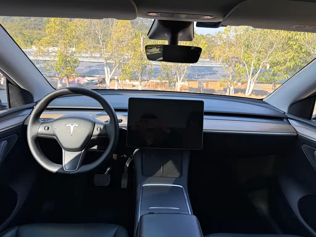 Tesla Model Y — фото 8