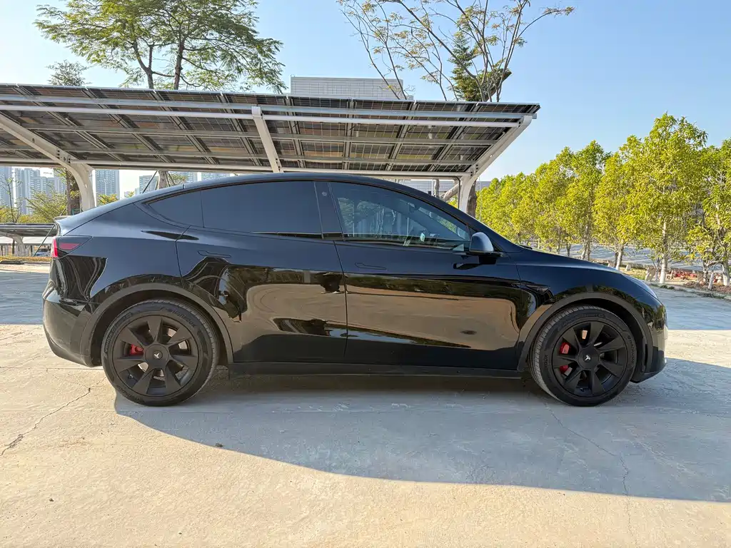 Tesla Model Y — фото 10