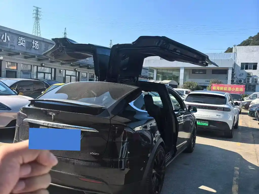 Tesla Model X — фото 3