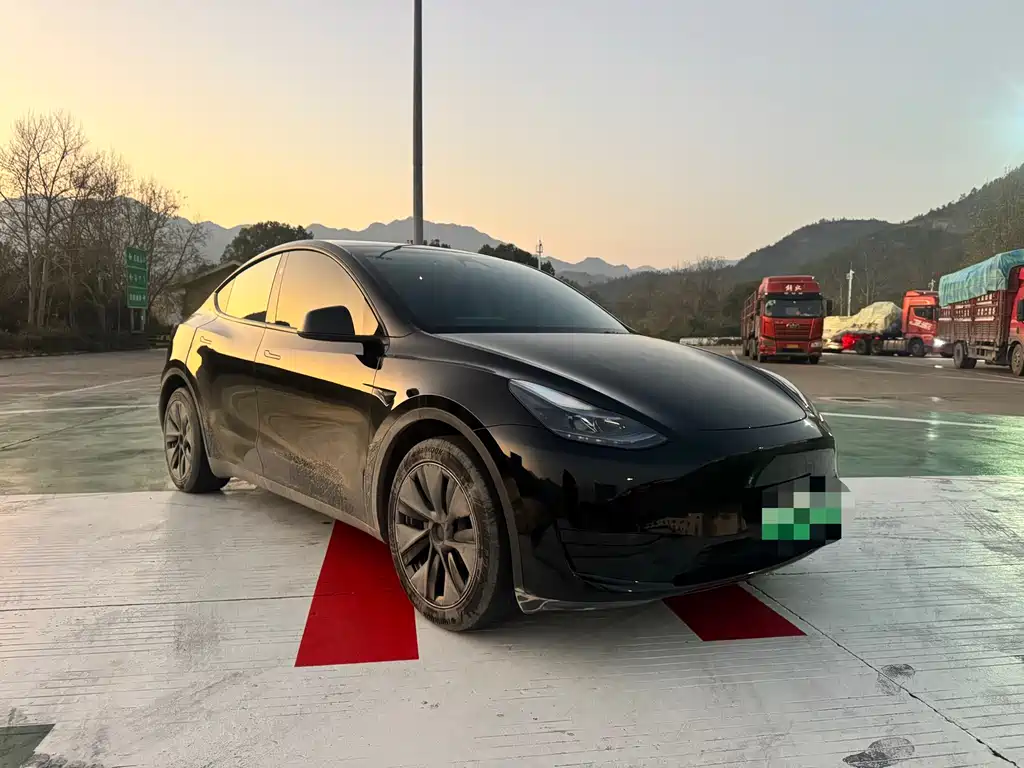 Tesla Model Y — фото 3