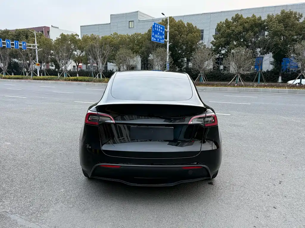 Tesla Model Y — фото 9