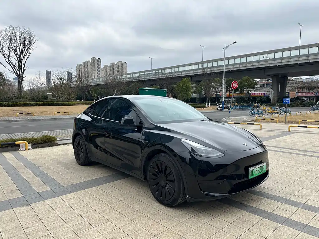 Tesla Model Y — фото 2
