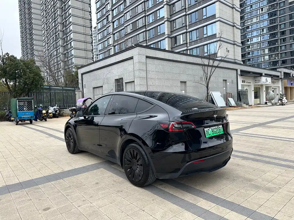 Tesla Model Y — фото 8