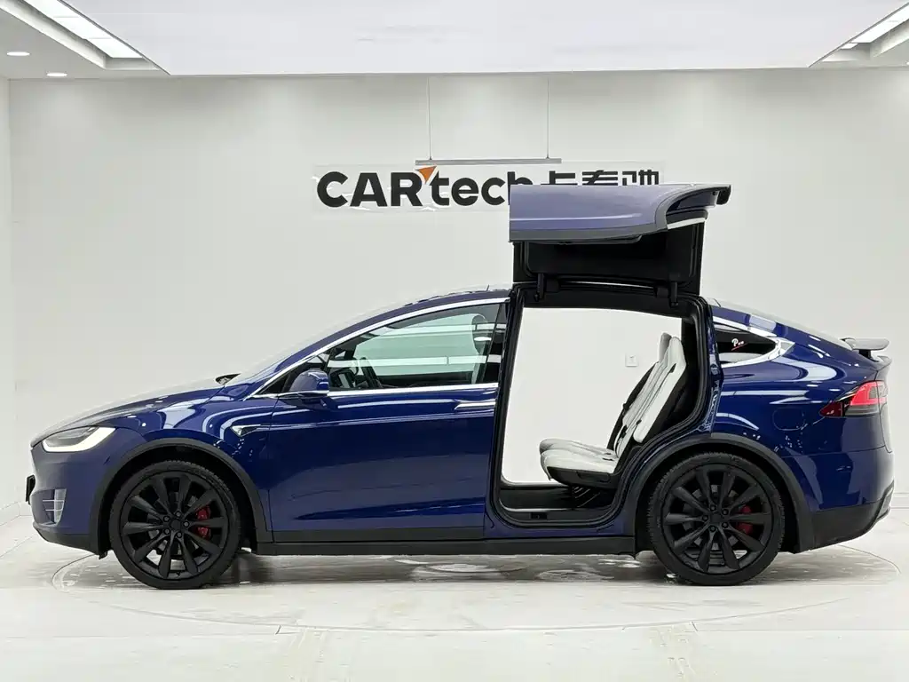 Tesla Model X — фото 9
