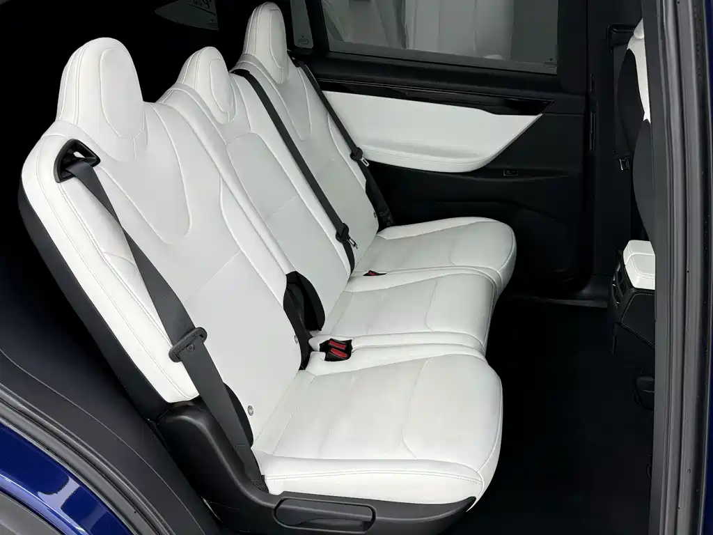 Tesla Model X — фото 10