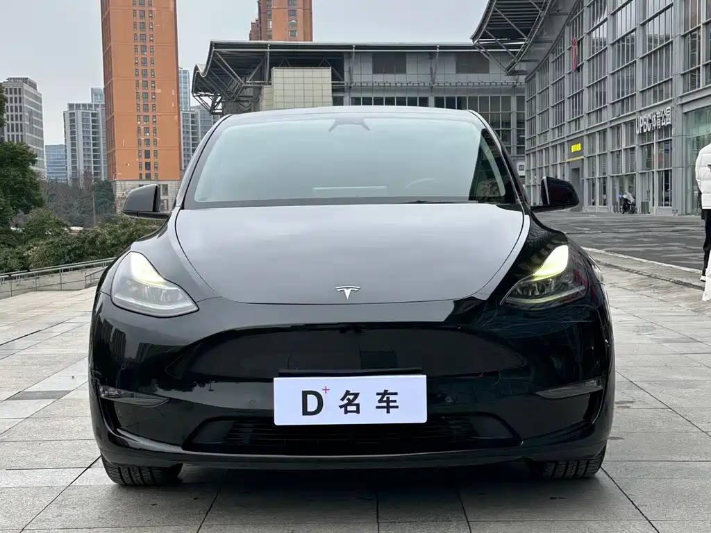 Tesla Model Y — фото 2