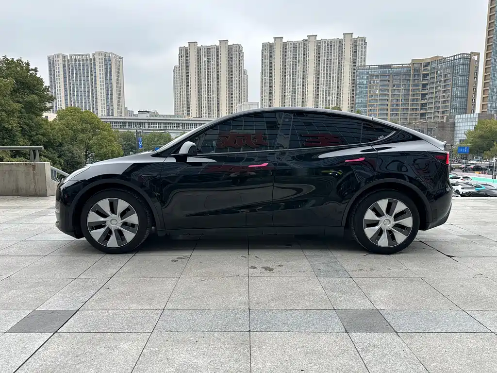 Tesla Model Y — фото 11