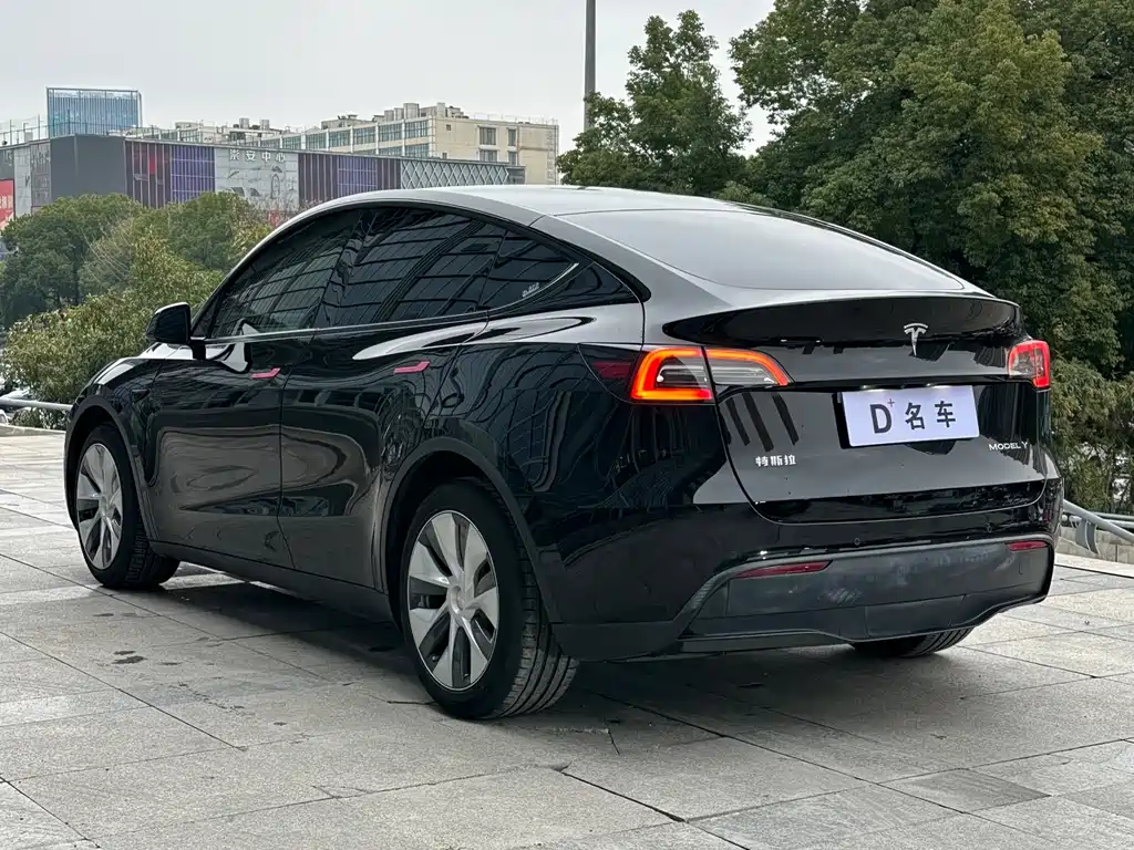 Tesla Model Y — фото 14