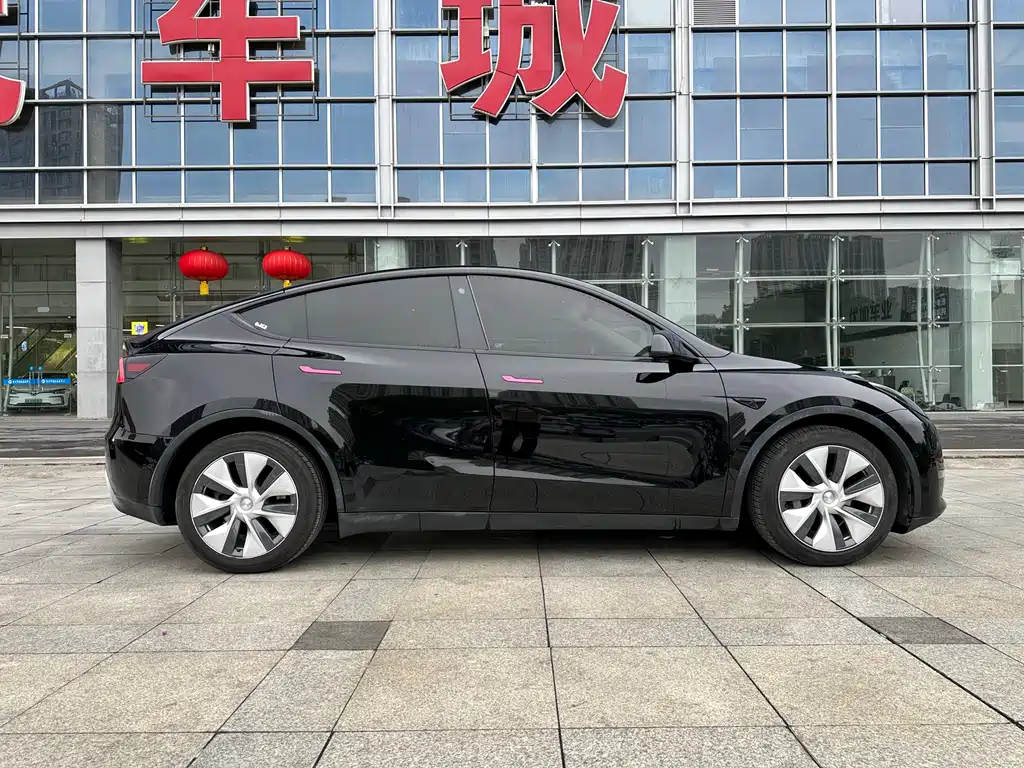 Tesla Model Y — фото 10