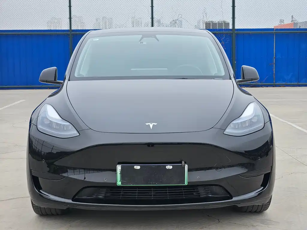 Tesla Model Y — фото 2