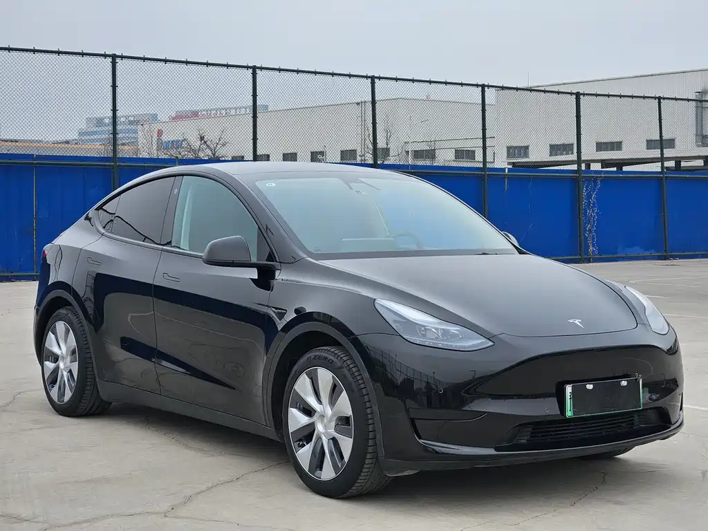 Tesla Model Y — фото 3