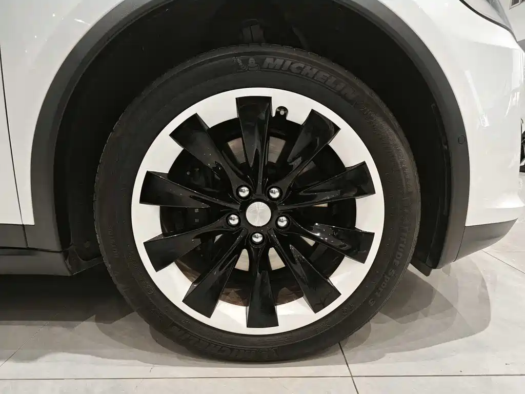 Tesla Model X — фото 11