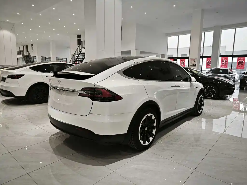 Tesla Model X — фото 4