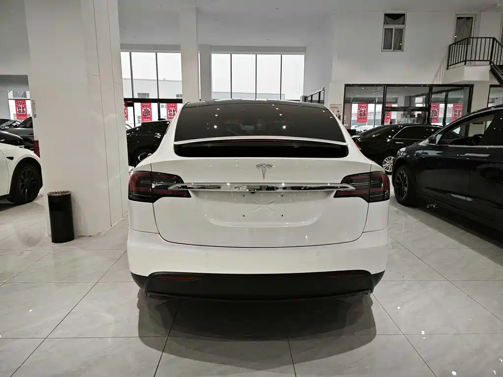 Tesla Model X — фото 5