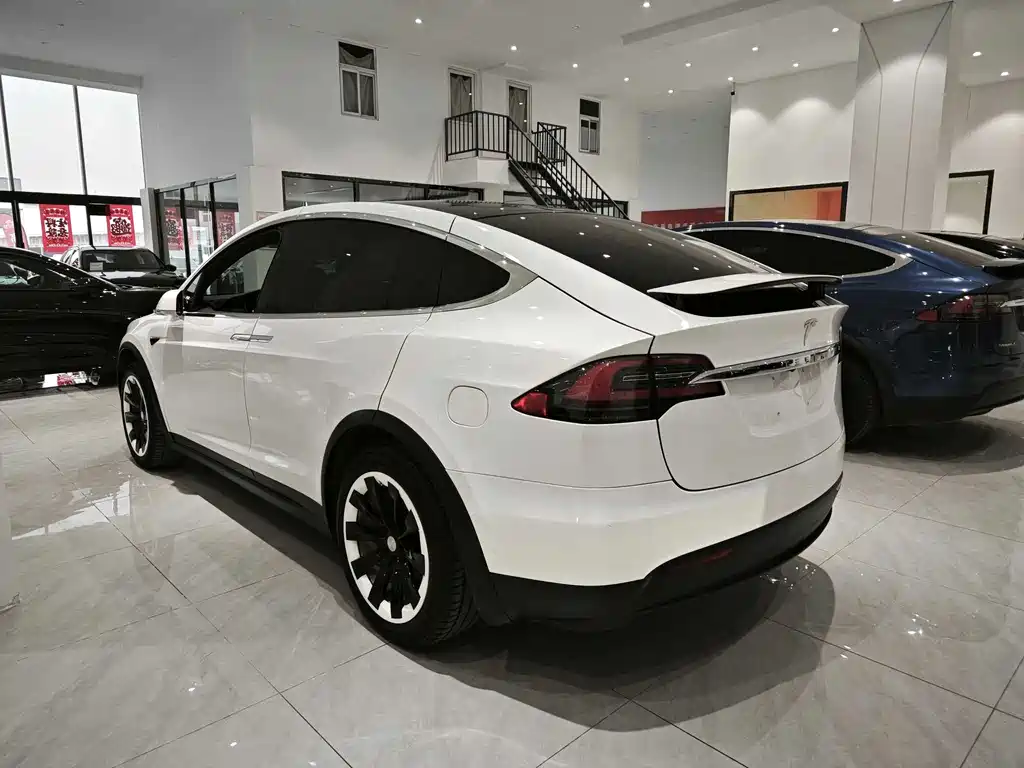 Tesla Model X — фото 6