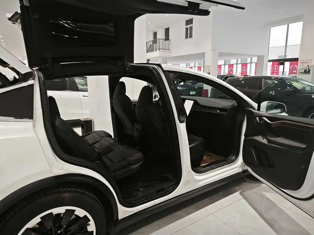 Tesla Model X — фото 8