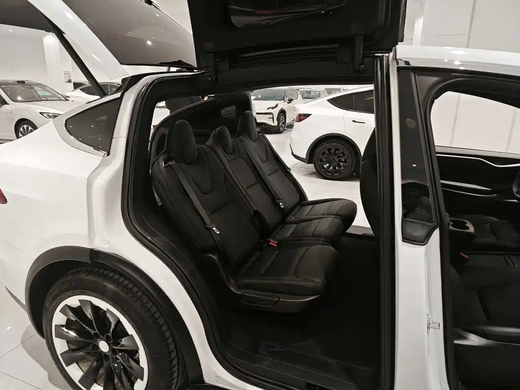 Tesla Model X — фото 10