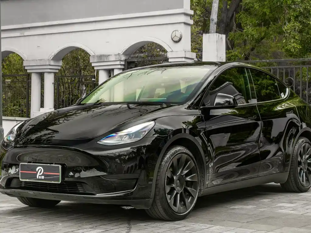 Tesla Model Y — фото 3