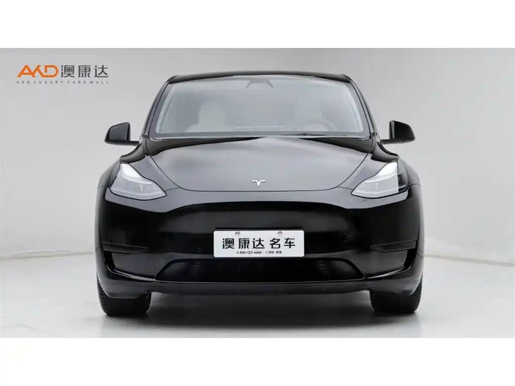 Tesla Model Y — фото 2