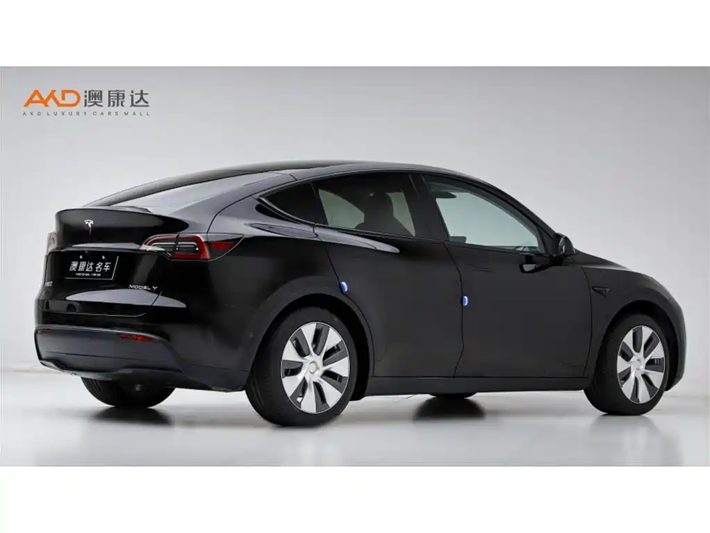 Tesla Model Y — фото 3