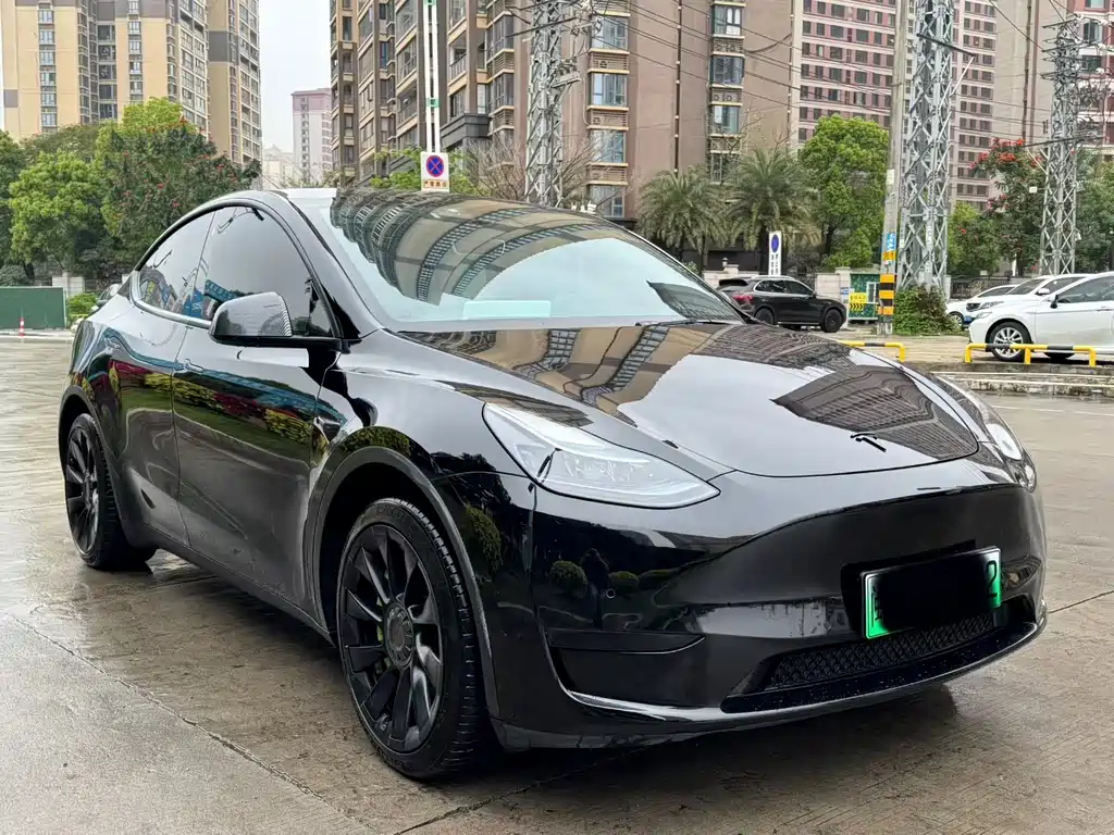 Tesla Model Y — фото 3