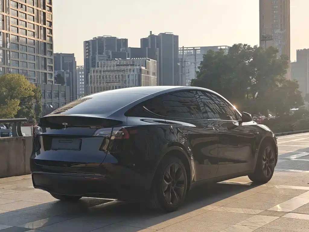 Tesla Model Y — фото 9